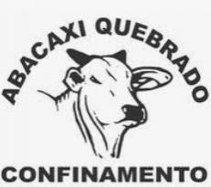 Abacaxi quebrado